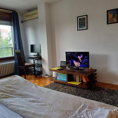 Apartment Student City, Wifi 300Mbs Belgrado Exterior foto